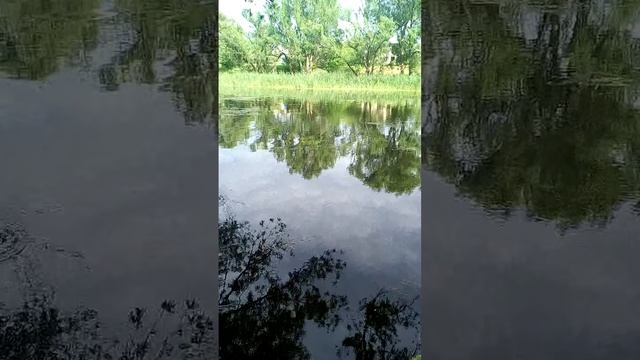 13.08.2022 год. Родные и близкие сердцу места