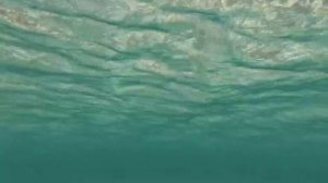 Крым вода чистая нет нефтепродуктов