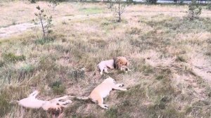 Олег Зубков скоро БУДЕТ ДОМА, его стремление к жизни ПОРАЖАЕТ!