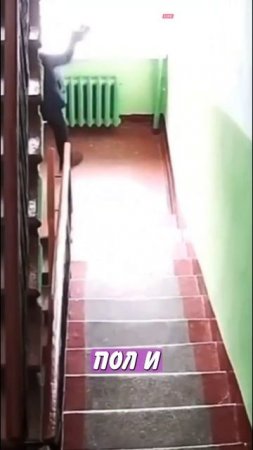 62. Разозлился на цветок в подъезде!   Главные Новости
