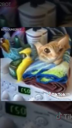 хахахахааааахахахахахахахаа