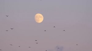 Люди. Страшные истории. Страшные. Мистические. Творческие  рассказы.