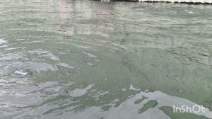Живая мёртвая вода горячего источника. Избербаш, Дагестан