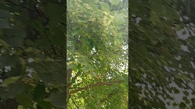 Секретный омолаживающий секрет 🤫
