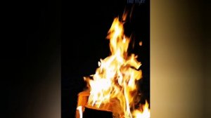 Отдых у реки. Река