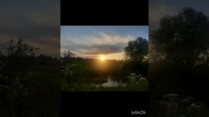 Июль_макушка лета💚💛🌼🌺☀️🌳.mp4