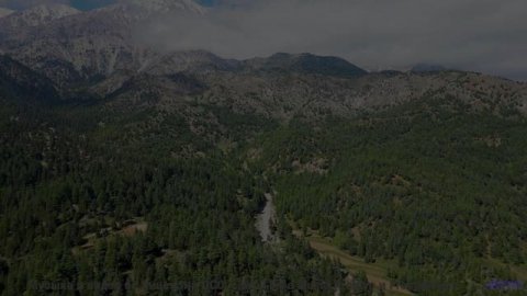 Природа, увиденная глазами искусственного сверхразума - новый взгляд на реальность! - Occhiolism --