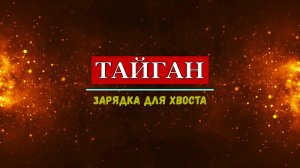 ПАРК ЛЬВОВ ТАЙГАН (Крым, г. Белогорск). ЗАРЯДКА ДЛЯ ХВОСТА!