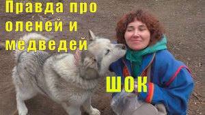 САМЬ СЫЙТ/ ВСЯ ПРАВДА ПРО ОЛЕНЕЙ  МЕДВЕДЕЙ И МУРМАНСК / 24 июня 2025 г