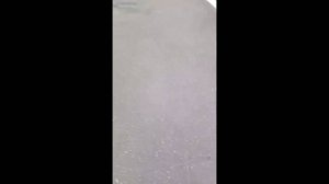 бегаем от молого