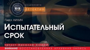 Испытательный срок - Павел НИЛИН (читает Николай КОЗИЙ) | ДЕТЕКТИВ аудиокниги слушать бесплатно
