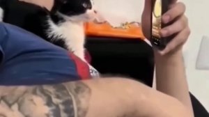 Правая рука человека😂
