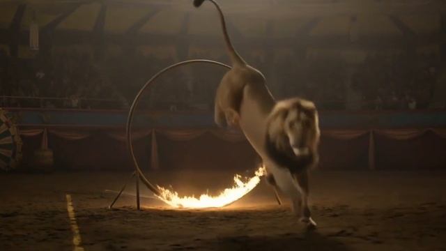 Лев прыгает в огненное кольцо  Ролики и видео для детей и взрослыхСоздано с помощью ИИ  Подпишись