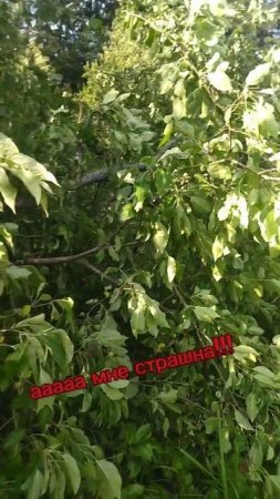 пов: каждый блогер когда случилось что то странное 😭