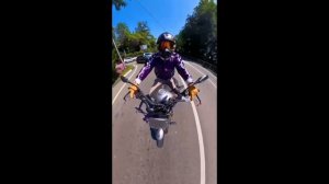 МИЛАЯ ПЕСНЯ - 2025