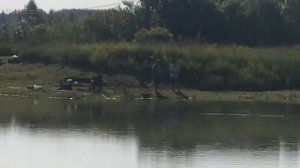 ещё одна рыбка в подсаке