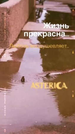 ЖИЗНЬ надо любить...