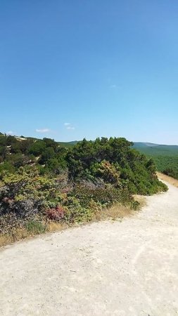 Сукко