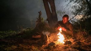 Гризли - Русский трейлер (2025)