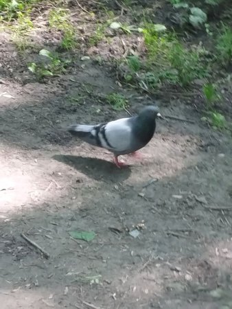 зайди поговорим