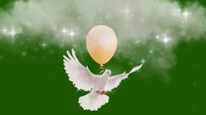 ФУТАЖ  -  ГОЛУБЬ МИРА- ХРОМАКЕЙ НА ЗЕЛЕНОМ ФОНЕ