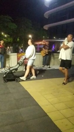 Мои любимые музыканты