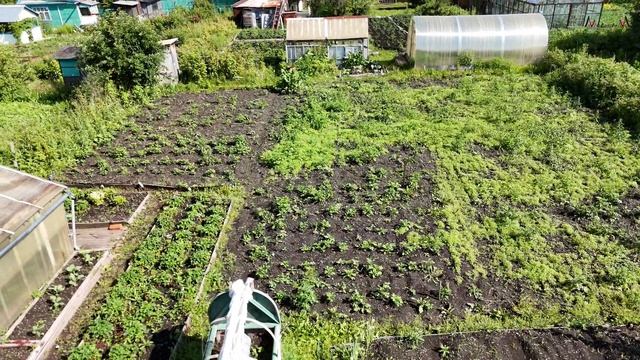 Продается уютный садовый участок в саду Виктория города Верхний Уфалей смотреть онлайн