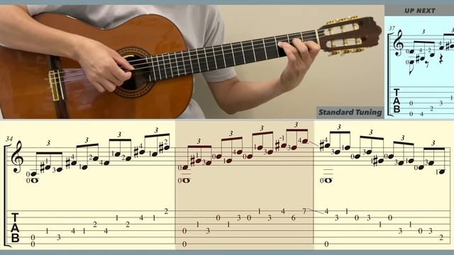 Sonata in C# minor ＂Moonlight＂ ⧸ Beethoven (Guitar) [Notation + TAB]
