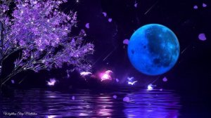 Peaceful Sleep Music – Stress & Anxiety Relief – Deep Healing Journey for Better Sleep