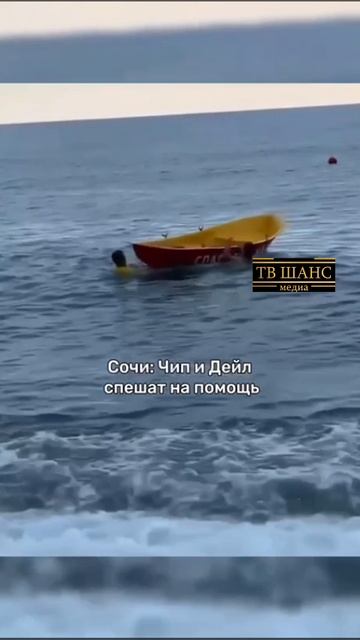 Русские ЧИП и ДЕЙЛ ))) #шок #испуг #ужас #кошмар #страх #спасатели #море #прыжок #нервы #страшно