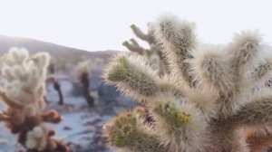 ЕСЛИ ПОСТУЧАТ. Страшные. Мистические. Творческие истории. Хоррор