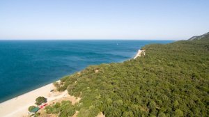 Продам ЗЕМЕЛЬНЫЙ УЧАСТОК у МОРЯ, на первой береговой линии с прямым выходом на пляж!