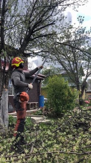Обрезка веток в Полевском