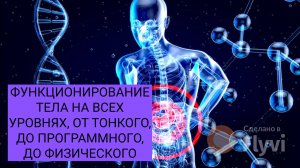 ФУНКЦИОНИРОВАНИЕ ТЕЛА НА ВСЕХ УРОВНЯХ, ОТ ТОНКОГО, ДО  ПРОГРАМНОГО, ДО ФИЗИЧЕСКОГО