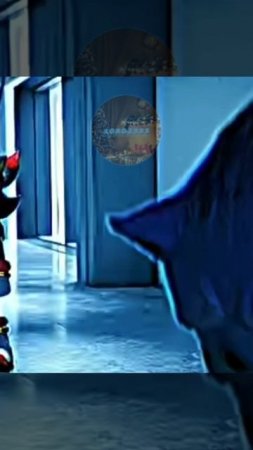 Sonic and Tom = shadow and Maria