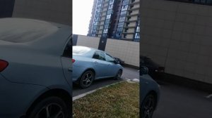 Расстройство птичьей личности