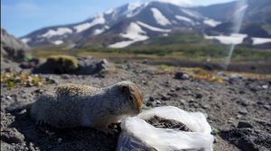 Камчатка 4часть