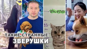 Какие новости? Глава 3