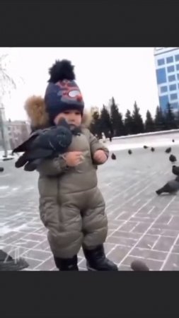 Замри
