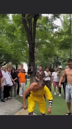 качёк и шаолинь