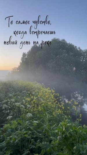 Рыбалка с берега