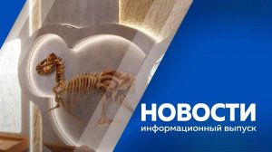 Новости 04.07.25