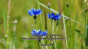 "Я иду по земле незаметным прохожим.." Песня, исп. Шинкарева Светлана