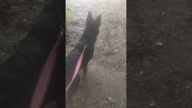 VID_20250703_175501.mp4 смотреть онлайн