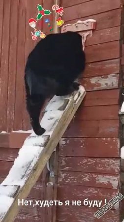face control ))))