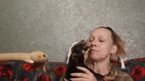 Дзен на Феюшку ограничение наложил.