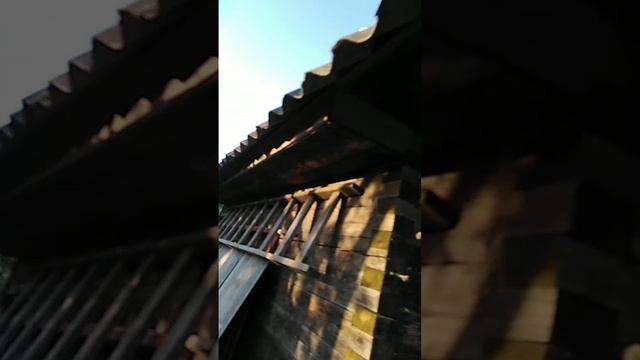 отдыхаем на природе в палатке.