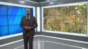 Экспресс новости на Своём от 4 июля 2025г. 16:30