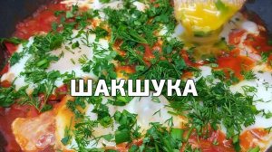 ЛУЧШАЯ ШАКШУКА на сковороде. Вкусная яичница с помидорами по-восточному.