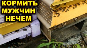 Мужчин кормить нечем.